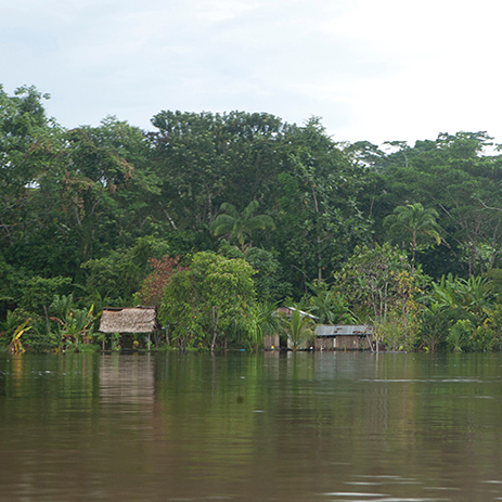 AMAZONAS 19 rio mosaico galeria_MG_4752.jpg